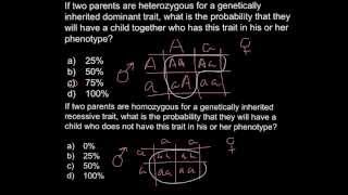 Punnett square problem solving example
