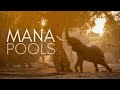 What makes MANA POOLS so special?