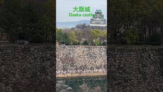 大阪城　Osaka  castle #shorts  ＃short #大阪城　#osakacastle #城　#japan #Japanese