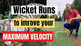 Wicket Runs to improve your Maximum Velocity