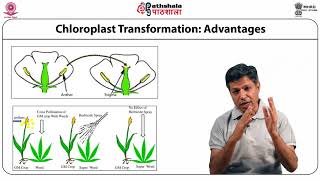 Chloroplast Transformation 1