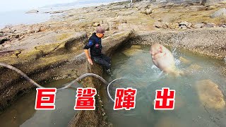 岸边浑浊水坑群，遇奇丑无比且奇贵无比的值钱毒货，直接就发了