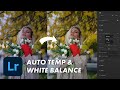 What is Auto Temperature & White Balance in Adobe Lightroom?