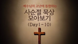 사순절 묵상 모아보기 (사순절 1 -10일)│사순절, 사순절 묵상하기