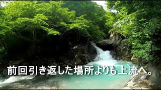 大雨の後、魚は釣りやすくなりますか？