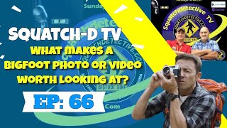 👉Bigfoot photos/video: What is believable? | Squatch-D TV Ep. 66