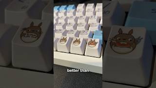 Making a Totoro Themed Keyboard