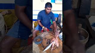 Sheela fish cutting