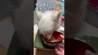 お夕飯？お夜食？遅めのご飯です🍚