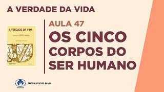 OS CINCO CORPOS DO SER HUMANO - Estudo da Coleção A Verdade da Vida - Aula 47