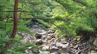 Jirisan national park  South korea🇰🇷🇰🇷🤽🤽