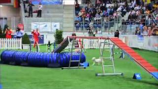 FCI Agility World Championship 2006 - GREAT MOVIE!