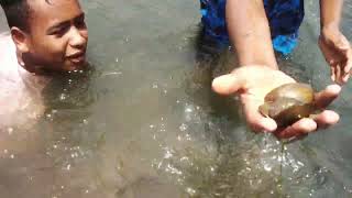 নদীতে শামুক ধরার কৌশল। river catch fish.01-05-2022