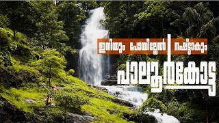 Paloor Kotta Waterfalls | Malappuram | ഇനിയും പോയില്ലേൽ നഷ്ട്ടമാകും |