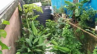 Terrace/Rooftop Garden Walk - Shivai Nagar, Thane