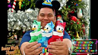 My Last Day at Disneyland \u0026 California Adventure for Christmas Day 5 Of 5 In Socal November 25, 2024