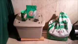 Indoor Worm Bin with Worm Eggs and the Ultimate Fruit Fly Trap