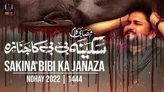 Syed Raza Abbas Zaidi | Nohay 2022 | Muharram 2022 - 1444 | Bibi Sakina  Ka Janaza Noha  2022-23