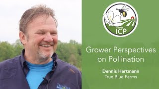 Grower perspectives on crop pollination: Dennis Hartmann