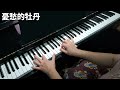 《憂愁的牡丹》 江蕙＆洪榮宏 鋼琴演奏 piano cover