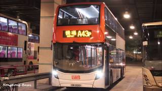 龍運巴士LWB  L 5543 @ A43P  機場(地面運輸中心)→粉嶺(聯和墟)