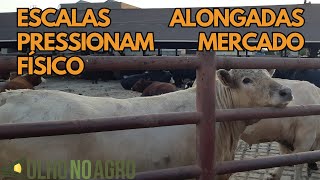 HORA DO BOI 18/02 - ESCALAS ALONGADAS PRESSIONAM MERCADO FÍSICO