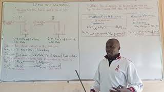 kcse 2024.Bleaching action of sulphur(iv) oxide