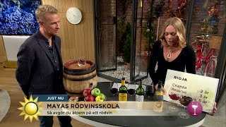 Rödviner till höstens mat  - Nyhetsmorgon (TV4)