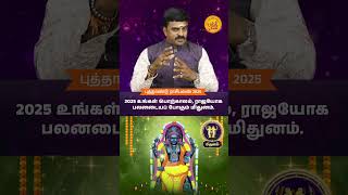 Mithunam Rasi - New Year 2025 Rasi Palangal | 2025 புத்தாண்டு பலன்கள் #mithunamrasipalantamil