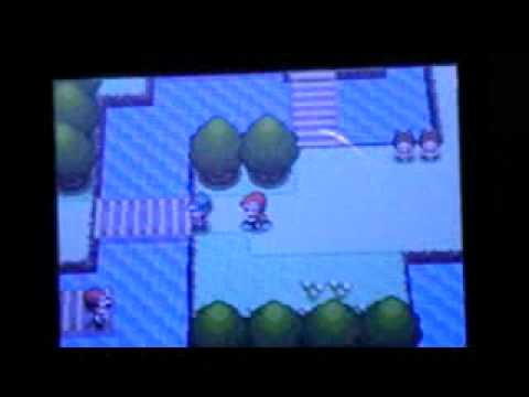how to get volt tackle in pokemon diamond and pearl how to get volt tackle in pokemon diamond and pearl