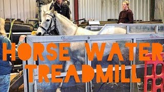 Horse water treadmill