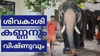 നല്ല ഒരു കൂട്ടുകെട്ട്  | Aaradhana Sivakasi Kannan | Vishnu | Kerala Elephant Heroes