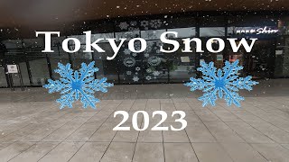 東京の雪 2023年2月