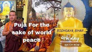 Puja For the sake of world peace, 4th day | Bihar | Bodhgaya | Qp official | puja |