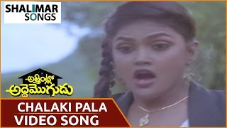 Attintlo Adde Mogudu || Chalaki pala pitta Video Song || Rajendraprasad, Nirosha