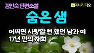 김인숙 단편 '숨은 샘'/ 어쩌면 사랑할 뻔했던 17년 만에 재회한 남자와 여자, 남자의 섬세함과 선량한 의지를 알아본 유일한 여자/ 책읽어주는여자/ 지니라디오/ 오디오북