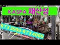 카스파 RTX3000~RTX4000까지 채산성 실시간 kaspa mining update 4060,4060TI,4070,4070TI,4080,4090