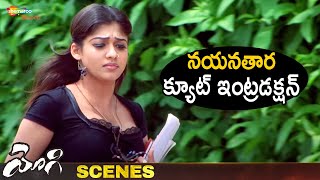Nayanthara Cute Introduction | Yogi Telugu Movie Scenes | Prabhas | Nayanthara | Shemaroo Telugu