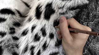 How to Draw Hyperrealistic Fur / Full Tutorial