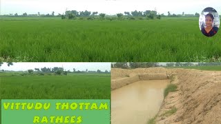 my home town / agriculture area in my village