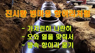 땅속 항아리묻기, 여아홍(女兒紅), 진시황 병마용 항아리처럼, 오와 열을 맞춰서