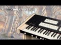 Introducing Cantorum Uno Plus | Viscount Classic Organs