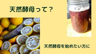 天然酵母ってなに？〜天然酵母初めての方に【自家製酵母パン教室ぱん蔵/東京/山梨】