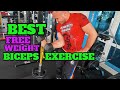 BEST Free Weight BICEPS Exercise