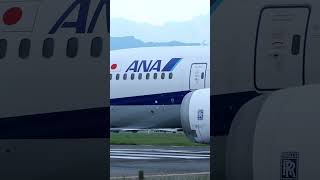 ANA全日空波音787松山機場滑行 #全日空  #松山機場 #飛機巷