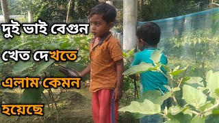 দুই ভাই বেগুন খেত দেখতে এলাম কেমন হয়েছে😍/First Vlog Of 2025/🫣My First Vlog Video !