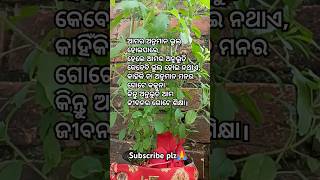 🥰ଅନୁଭୂତି ଆମ ଜୀବନର ଗୋଟେ ଶିକ୍ଷା 🥰@KabyaBarna #motivation #shorts #ytshorts #viralvideo