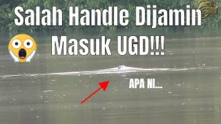 Spot ini Jarang Didatangi Manusia & Dihuni Oleh Banyak Ikan Besar Berbisa Tinggi #1 #538