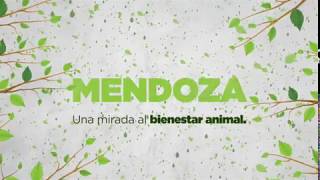 Mendoza, una mirada al Bienestar Animal