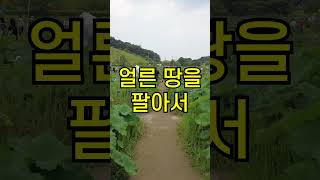 10억 시골땅 탐내는 시댁식구들 참교육